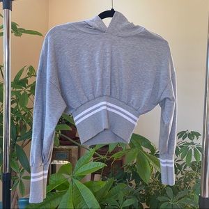 Grey Cropped Pullover Sweatshirt Hoodie